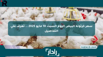 سعر كرتونة البيض اليوم السبت 10 مايو 2025 .. تعرف على التفاصيل